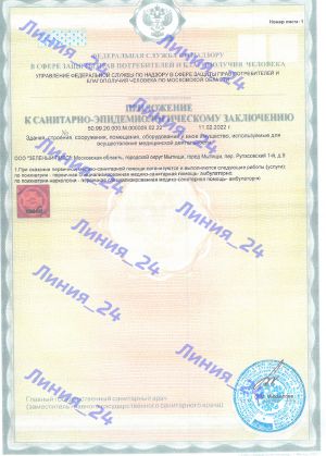 Приложение к санитарно-эпидемиологическому заключению